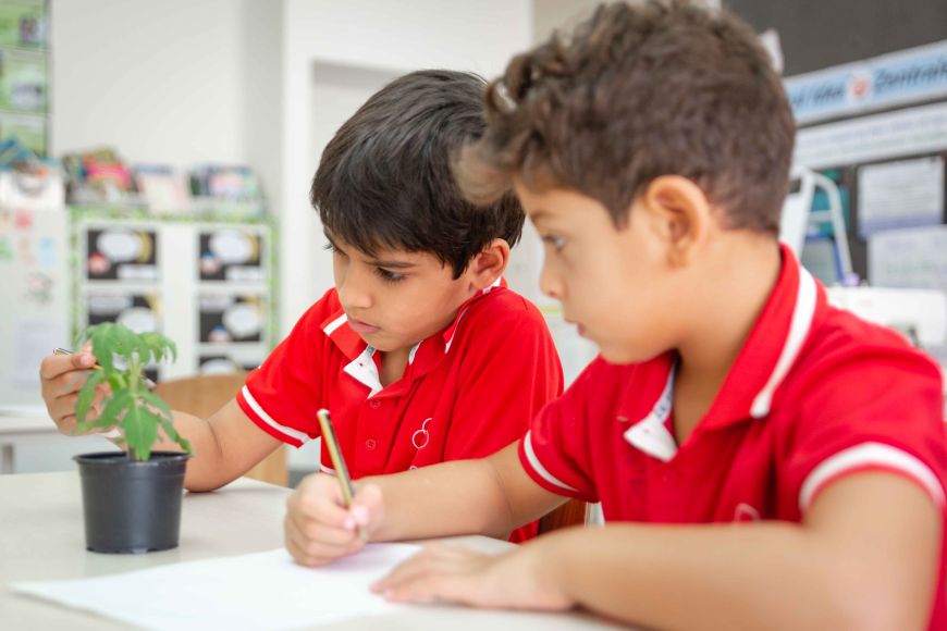 How do students learn in the IB? How do students learn in the IB?